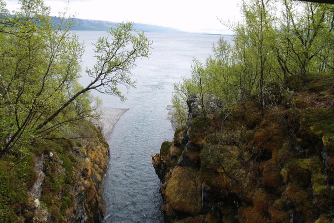 Tour to Abisko National Park - Location and Meeting Point