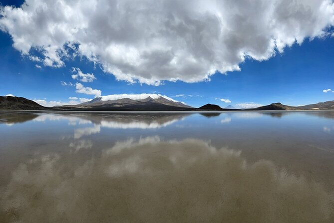 Tour to Explore the Nature of Salinas and Aguada Blanca - Exploring Salinas Natural Reserve