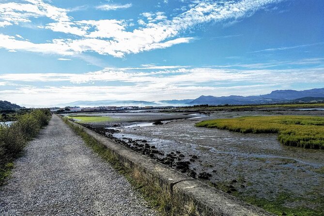 Tour to the Anchovies Factory and Santoña Marshes With Tasting - Meeting and Pickup Details