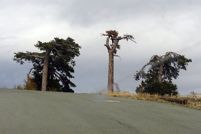 Tour TROODOS MOUNTAINS From Paphos - Highlights of the Private Tour