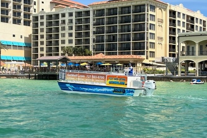 Tour With Dolphins and Sight Seeing - Meeting Point and Logistics