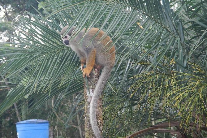 Tours to the Amazon - Indicchuris Jungle | Amazon Rainforest Tours - Inclusions and Exclusions