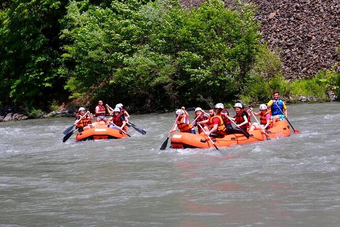 Traditional Georgian Jormadi Rafting Group Tour  - Tbilisi - Navigating the Aragvi Rivers Waves
