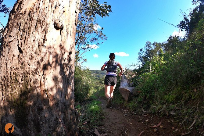 Trail Running in Coimbra - Gear and Preparation for Coimbra Trails