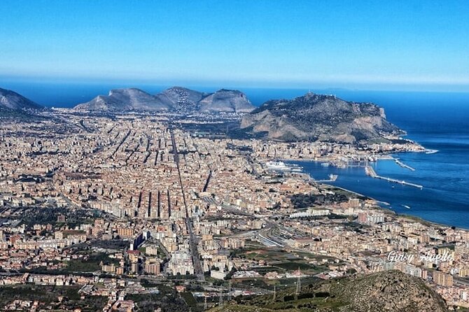 Transfer From Palermo Airport To Palermo City - Vehicle and Amenities