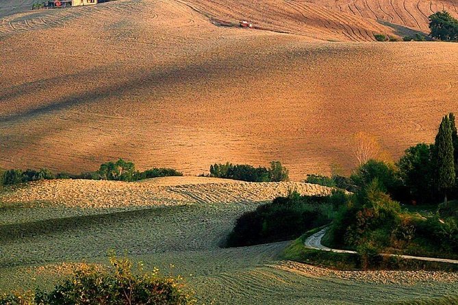 Transfer From Pisa Airport to Florence or From Florence to Pisa - Inclusions and Amenities