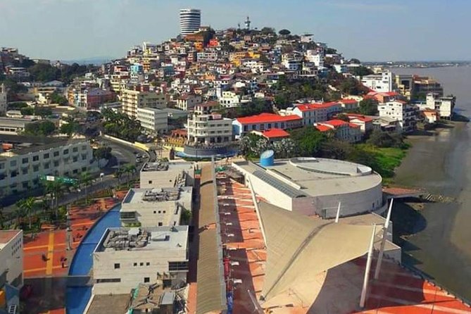 Transfers From Guayaquil Airport to the Hotel - Accessibility Considerations