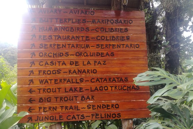 Transport From San Jose to La Fortuna - Pickup and Drop-off Logistics