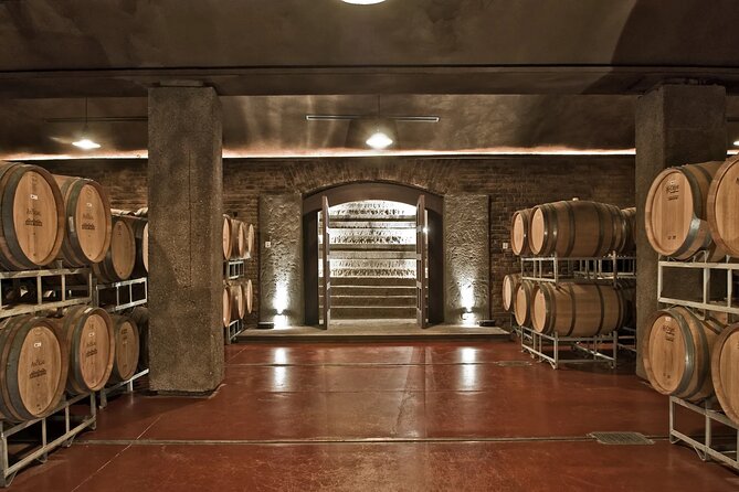 Trapiche Winery + Laur + Antigal Winery Lunch.Transfer Included - Tour Schedule and Availability