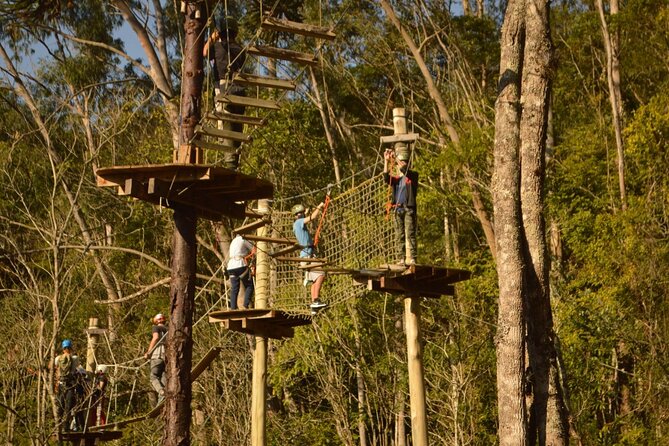 Tree Climbing Among the Araucarias - Meeting Point and Getting Started