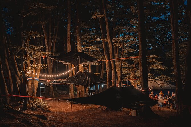 Tree Tents Experience - E-bike Tour - Activity Details