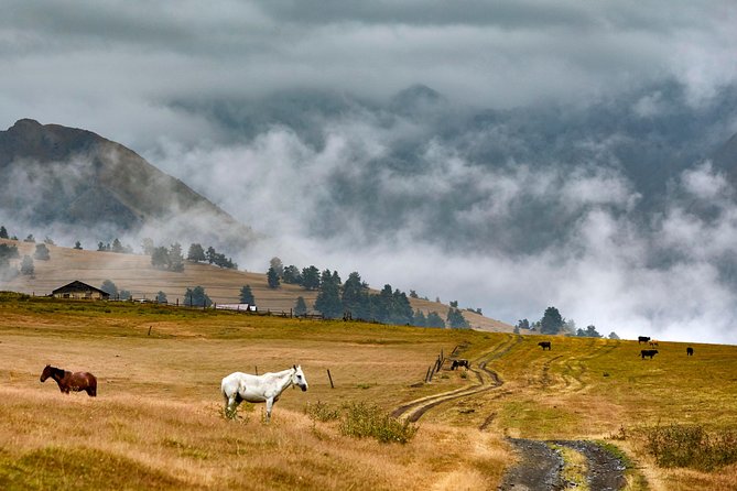 Trekking Tour From Tusheti to Kazbegi With Only Two Overnight Stays in Tents. - Transportation and Equipment