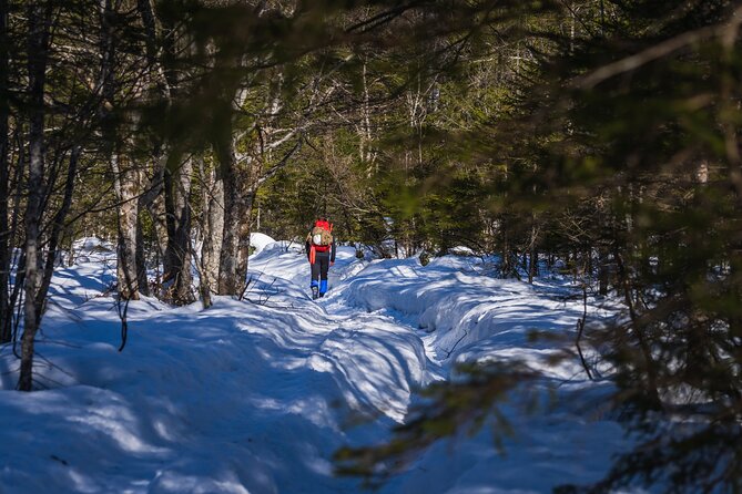 Triglav Winter Edition - Certified IFMGA Mountain Guide