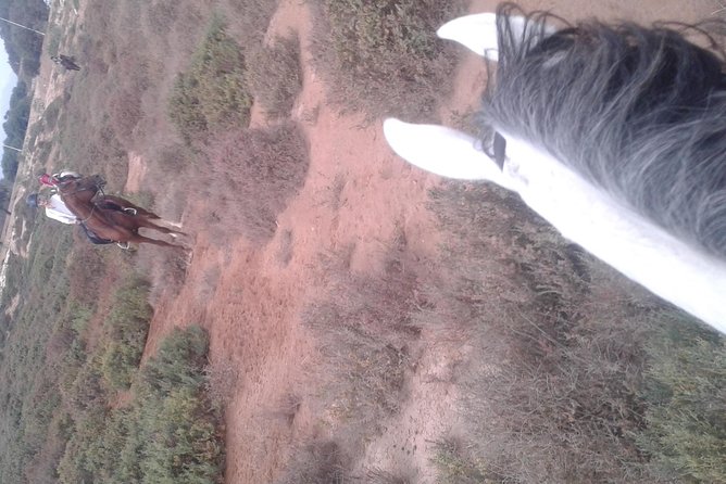 Trip 2 Hours to Natural Area of Agadir City (The Price for Both Riders) - Inclusions and Amenities