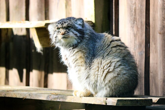 Trip to Ranua Wildlife Park - Guided Tour and Education