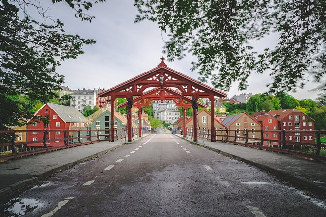 Trondheim Private Walking Tour - Meeting and Pickup
