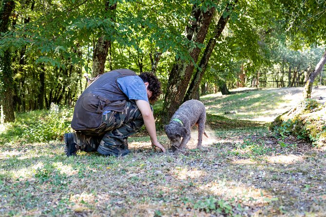 Truffle Hunting & Truffle Cooking Class - Navigating the Booking and Payment Process