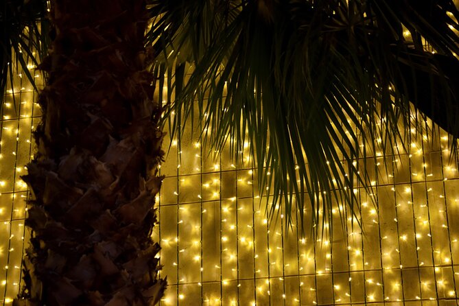 Tuk Tuk Funchal Magic Christmas Lights Review - Inclusion Details