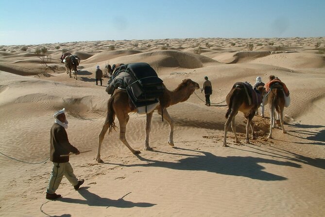 Tunisian Sahara Two-Day Tour From Hammamet - Cultural Experiences
