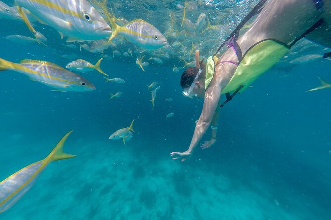Turtle Snorkel Sail on Buck Island From Frenchmans Reef - Inclusions and What to Expect