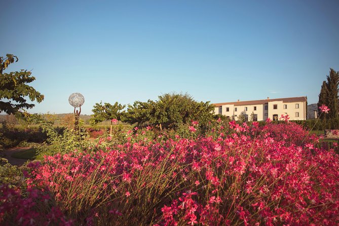 Tuscany Winery Tour and Tasting  - Siena - Exclusive Tour Details