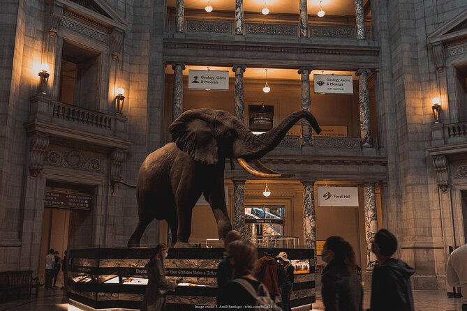 Two Smithsonian Museums: American & Natural History Private Tour - Logistics and Pricing
