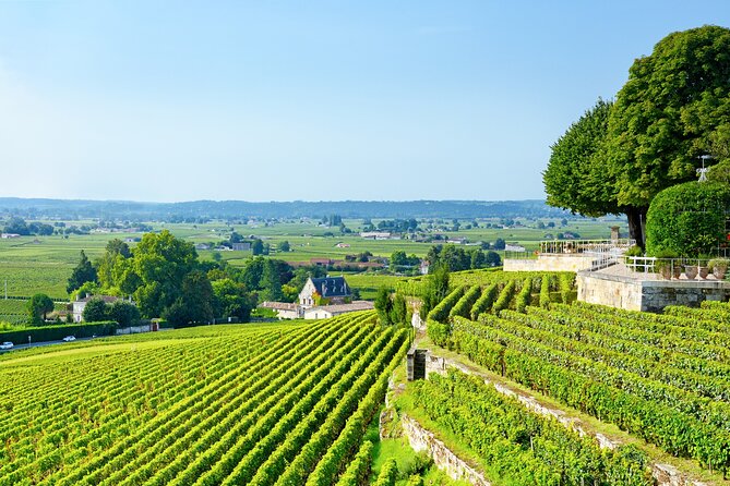 UNESCO Heritage and Wine Delights Private Tour From Bordeaux - Inclusion Details