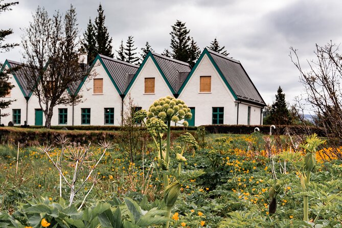 Unforgettable Full-Day Golden Circle Private Tour From Reykjavík - Pickup and Logistics