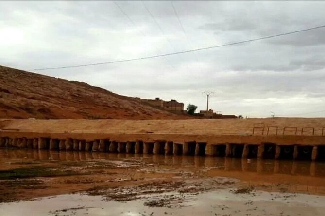 Unforgettable Journey Through Algeria (Cities, Ruins and Desert). - Experiencing Local Hospitality