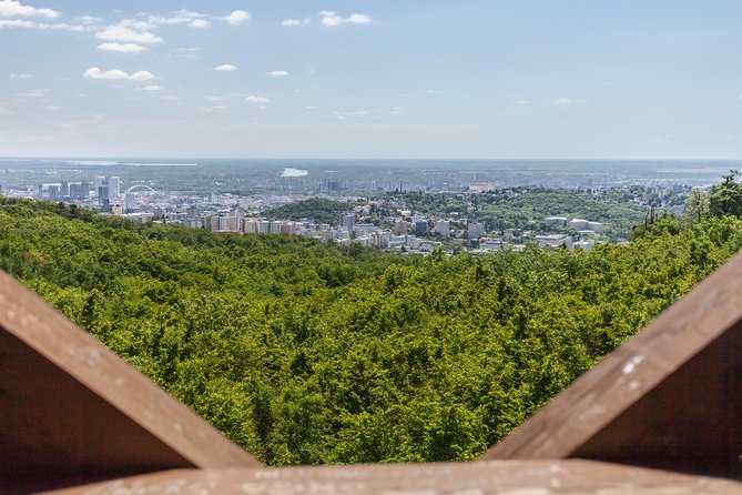 UNIQUE Views of Bratislava - Private Guided Tour - Vehicle and Amenities