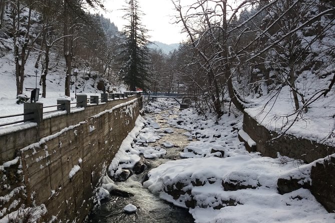 Uplistsikhe-Borjomi 1 Day Tour - Borjomi: Lush Green Landscapes