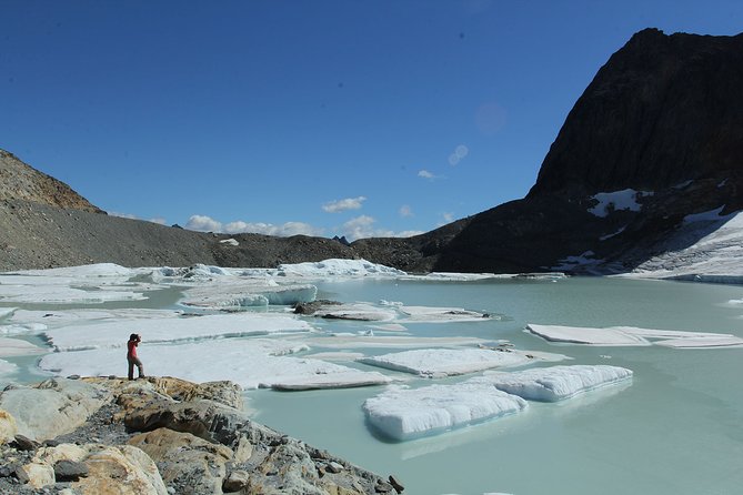 Ushuaia: Trekking to Ojo Del Albino Glacier - Highlights of the Trek