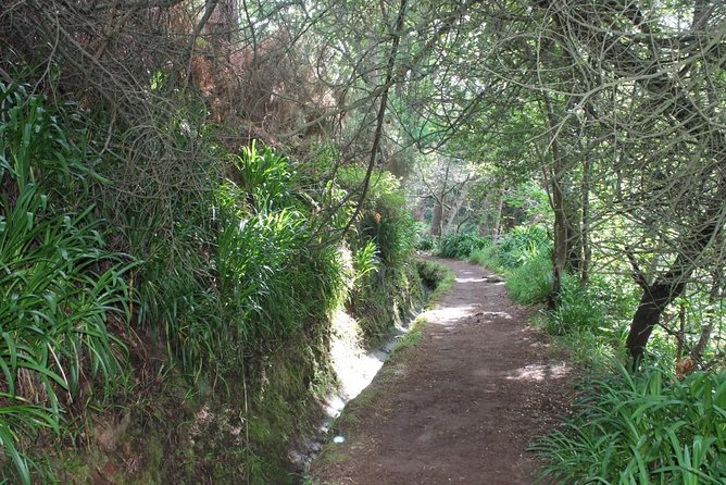 Vale Paradiso - Rock (Half Day Walk) - Meeting and Pickup