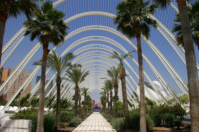 Valencia Unveiled: A Walking Tour Through Time - Exploring the Serranos Towers