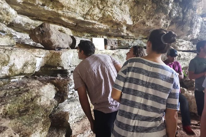Valladolid Mayan Bees Tour With Lunch or Breakfast and Honey Tasting - Meeting Point and Logistics