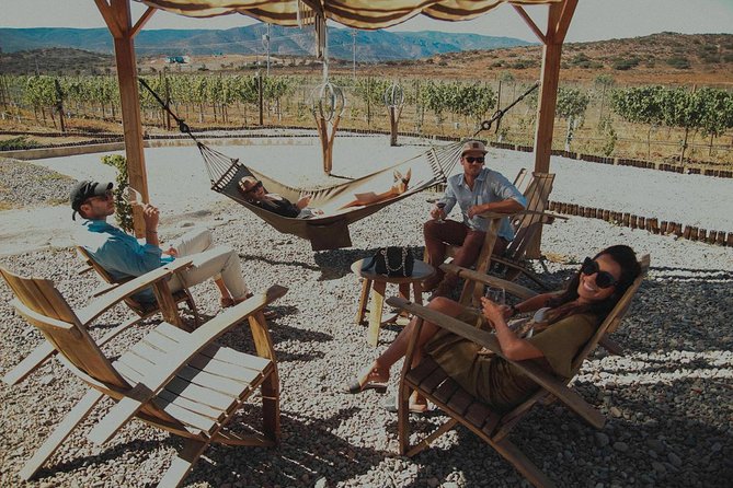 Valle De Guadalupe COUPLES Wine Tasting for 2 - Tour Experience