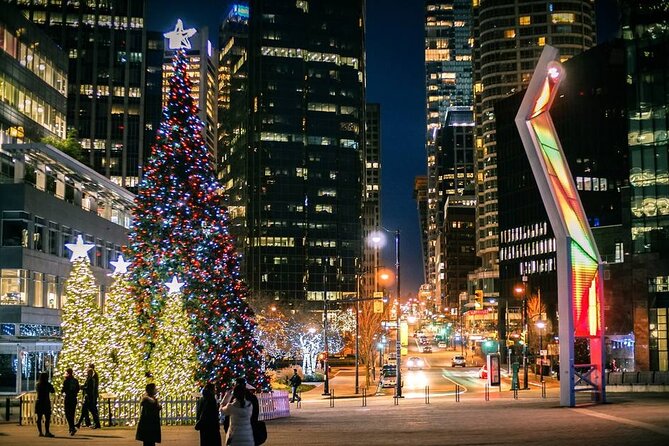 Vancouver Christmas Light Tour Private - Pickup and Drop-off