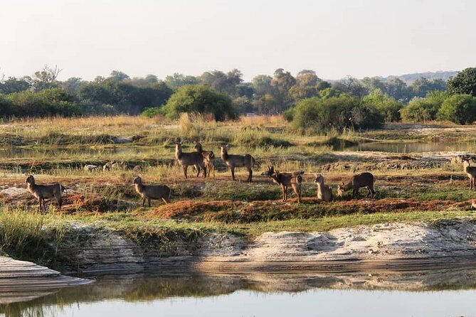 Victoria Falls Safari Tour Full Day - Pickup and Meeting Details