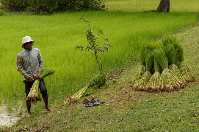 Village Life Tour From Siem Reap - Inclusions and Amenities