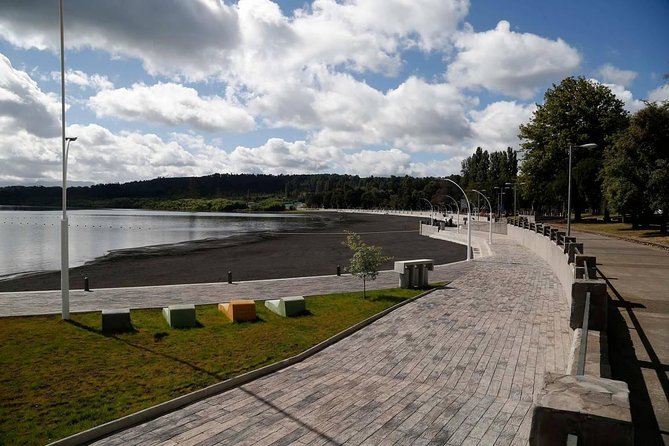 Villarrica / Araucania Airport - Transportation Services