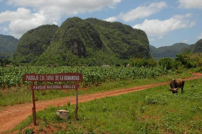 Viñales Horse Tour - Included in the Tour