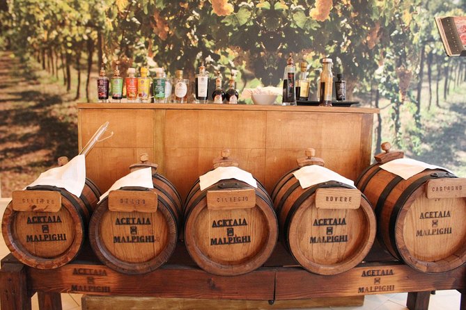 Vinegar Tour and Tasting With a Local in Modena - Delving Into the Barrel Room Tour