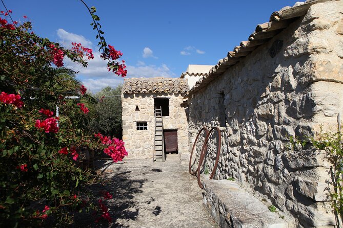 Vineyard Tour, Wine and Sicilian Delicacies Tasting at a Winery in Agrigento - Experience Highlights