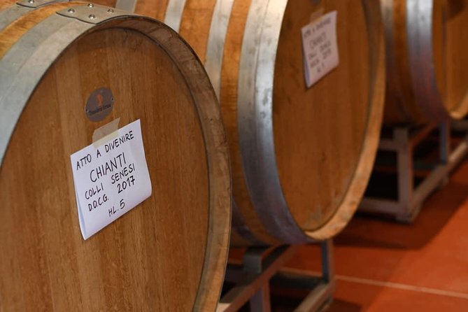 Vineyard Visit With Local Appetisers and Wine Tasting - Whats Included