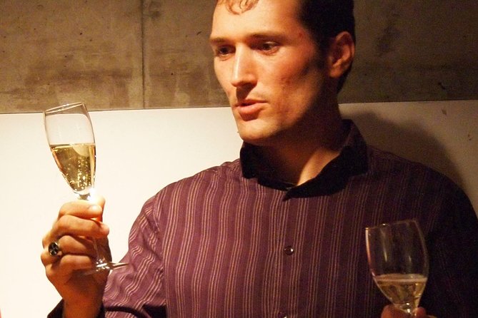 Vineyard Walking Tour & 2 Champagnes Tasting - Accessibility Information