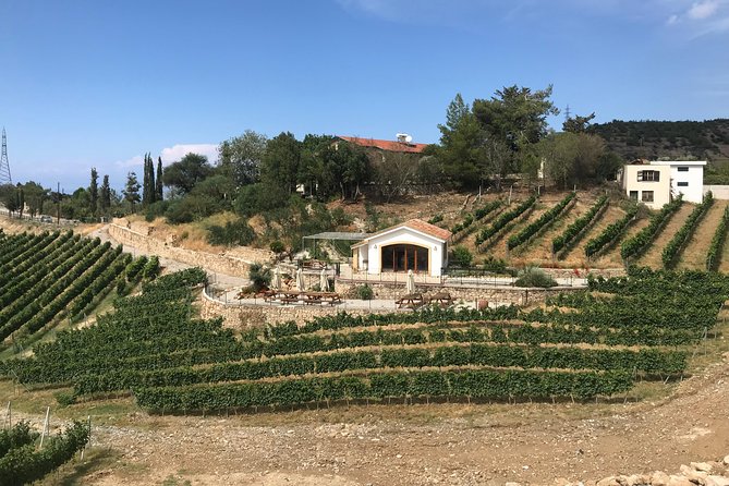 Vineyard & Wine Tasting Tour - Flavor-Packed Lunch Pairing