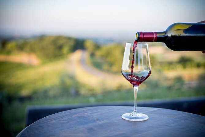 Vineyards and Delicacies of Parmas Surrounding Hills - Wine Tasting Delights