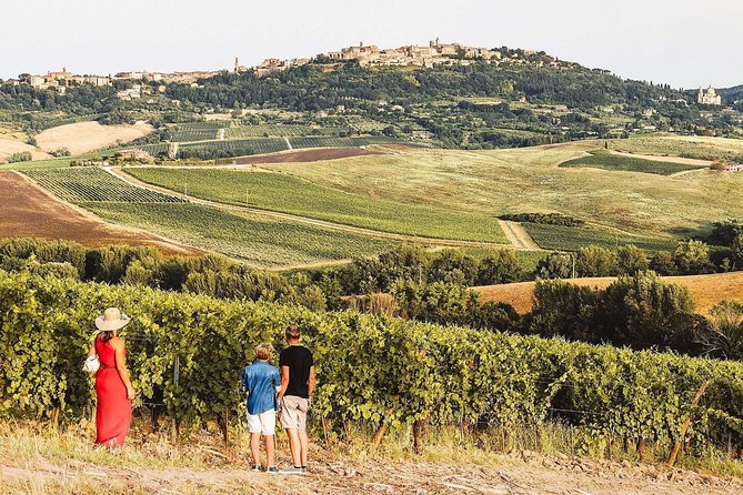 Vino Nobile Di Montepulciano Wine Tour - Meet the Producers - Meeting the Vintners