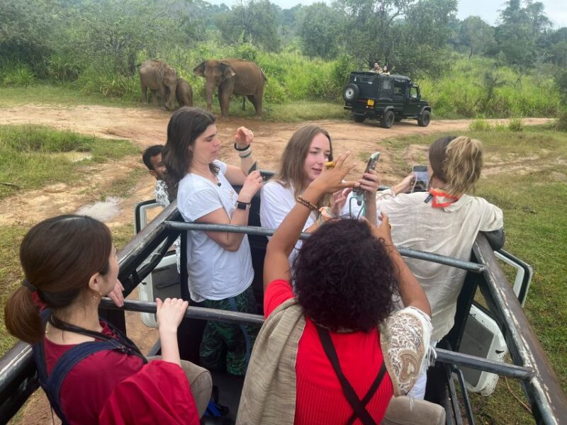 VIP All Inclusive Sigiriya Dambulla & National Park Tour - Inclusions and Transportation