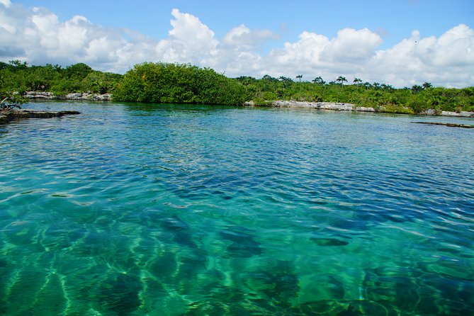 VIP Cenotes Private Tour - Professional Snorkeling Guides